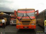 Transporte Unido (VAL - MCY - CCS - SFP) 062