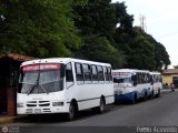 Garajes Paradas y Terminales Santa-Ana-del-Tachira