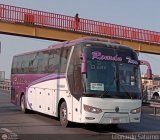 Romn Tours 966