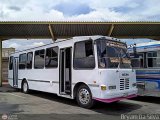 Lnea Tilca - Transporte Inter-Larense C.A. 21