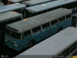 Universidad Central de Venezuela 46 Marcopolo Bertioga Integral Cummins V-504 (V8 210Hp)