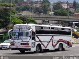 Expresos Delicias 09