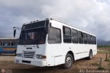 Cooperativa Carlos Arvelo 53
