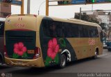 Cetur S.R.L. 954