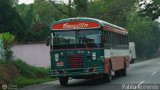 Autobuses de Tinaquillo 12