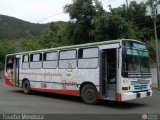 DC - Autobuses de El Manicomio C.A 61