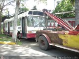 En Chiveras Abandonados Recuperacin 15