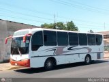 Empresa de Transporte El Buen Vecino 02
