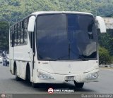 DC - AsoCoproColectivos 999