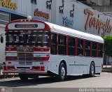 Transporte Palo Negro La Morita 2 047, por Kimberly Guerrero