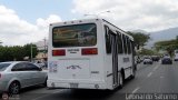 Transporte Virgen del Carmen 33, por Leonardo Saturno