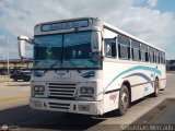 Colectivo Matera Nueva 20, por Sebastin Mercado