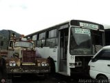 DC - Autobuses de El Manicomio C.A 71, por Alejandro Curvelo