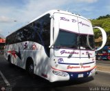 Expresos Pegamar 2016 Carroceras Urea Platinum Chevrolet LV150