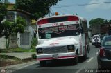 GU - A.C. de Conductores Lnea 48 094 Wayne Cnvncional Corto Trompita03 Ford B-350