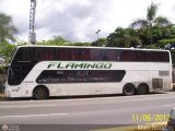 Expresos Flamingo 0108