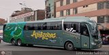 LSI Amazonas (Per) 114