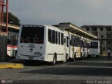 Garajes Paradas y Terminales SAN FELIPE