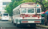 Autobuses de Tinaquillo 38, por Pablo Acevedo