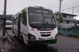 Asociacin Civil Lnea Unin Cordero 010, por Brayan Morales 