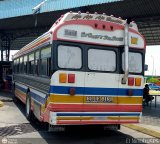 Colectivo San Rafael (El Mojn) 02, por El Niobuses