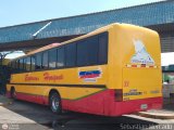 Expresos Horizonte 33