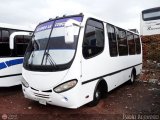 TA - Lnea Concordia 38 Carroceras Urea Orion Chevrolet NPR Turbo Isuzu