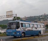 Transporte Los Siervos de Dios 0389