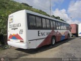 Excarguaica 037