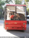 Sistema Integral de Transporte Superficial S.A 802