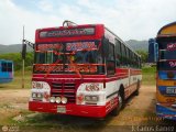 Transporte Colectivo Camag 11, por J. Carlos Gmez