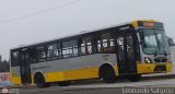 Per Bus Internacional - Corredor Amarillo 2042 Modasa Titn Corredor Agrale MA 17.0