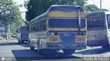 Unin Magdaleno A.C. 66