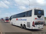 Expresos Occidente 170