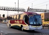 Empresa de Transporte Per Bus S.A. 686 Neobus New Road N10 340 Volvo B380R