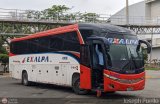 Expreso Almirante Padilla S.A. - EXALPA 9010