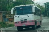 MI - A.C. L�nea La Rosa de Guatire 09