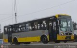 Per Bus Internacional - Corredor Amarillo 2040, por Leonardo Saturno