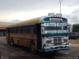 Colectivo Matera Nueva 31