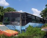 En Chiveras Abandonados Recuperacin 23, por Alejandro Curvelo