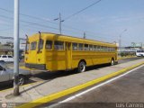 Particular 202 Blue Bird All American FE Integral Cummins V-504 (V8 210Hp)