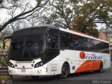 Expresos Occidente 152 Mascarello Gran Flex Volkswagen 17.240 OT