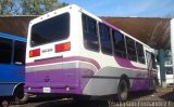 A.C. Transporte Paez