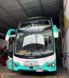 Tours Angel Divino S.A.C. (Per) 273