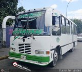 Transporte La Villa 12