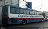 Expresos Bayavamarca 117