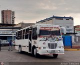 Ejecutivos Kova 071