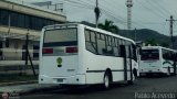 A.C. de Transporte Larense 45, por Pablo Acevedo