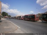 Garajes Paradas y Terminales Caracas Yutong ZK6118HGA GNC (Segunda Gen) Integral Cummins ISLgeEV 320Hp