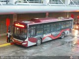 Bus CCS 1288, por Alfredo Montes de Oca